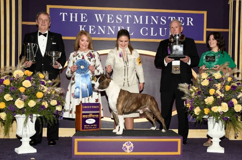 2024 Westminster Dog Show Annual Ornament Layne Mathilda