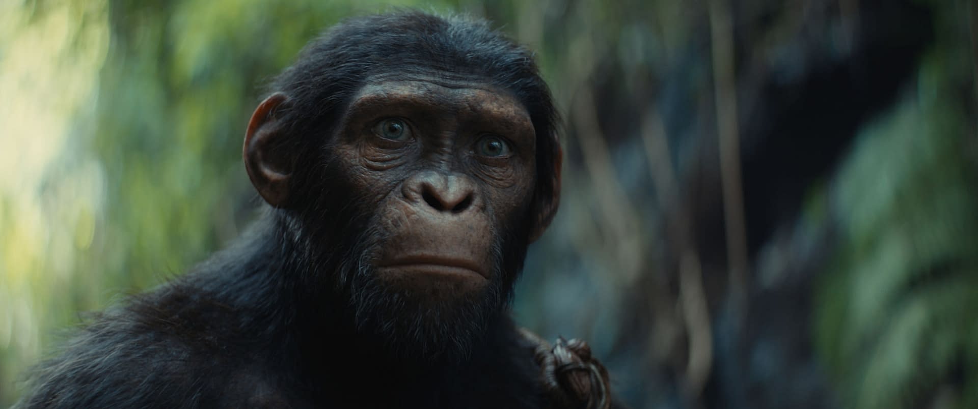 Kingdom of the of the Apes Sets Up A New Trilogy