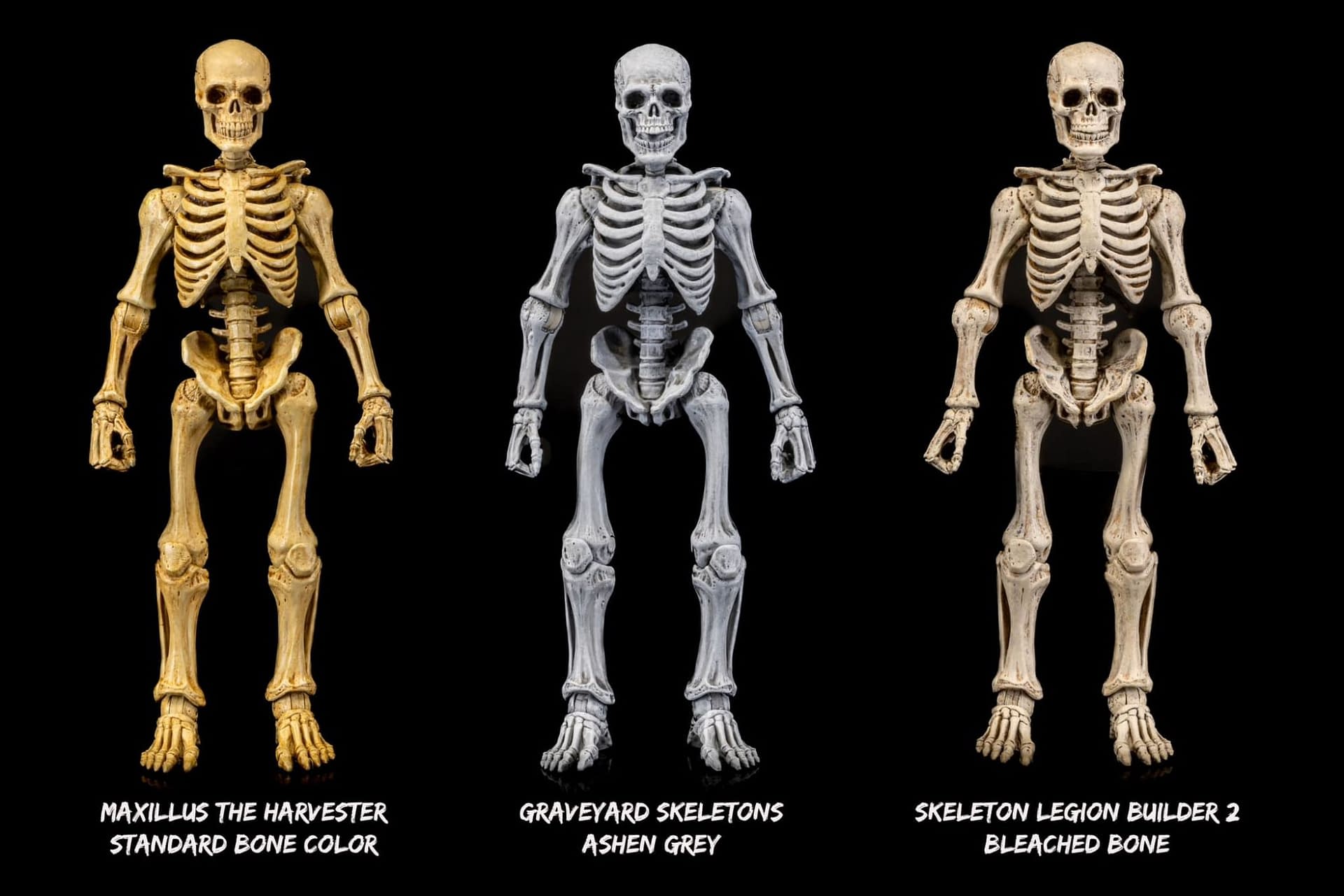 Pre-Built Legions Armory Knights Coming Soon from Four Horsemen