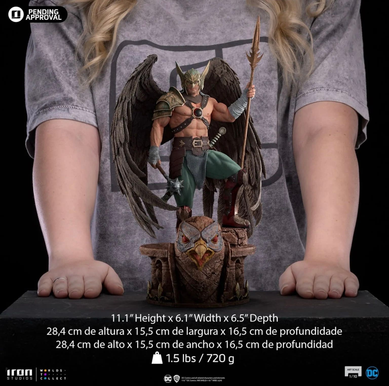 Take Flight with Iron Studios New DC Comics Hawkman 1/10 Statue 
