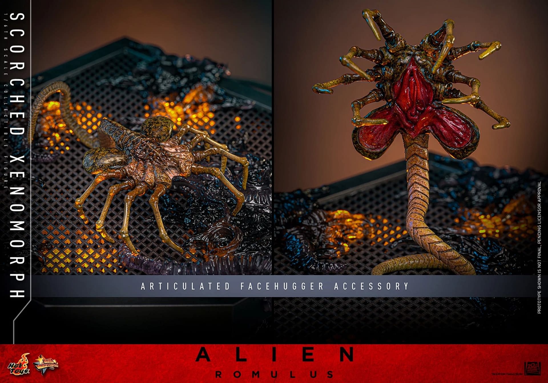 Hot Toys Unveils New Alien: Romulus 1/6 Scale Scorched Xenomorph 