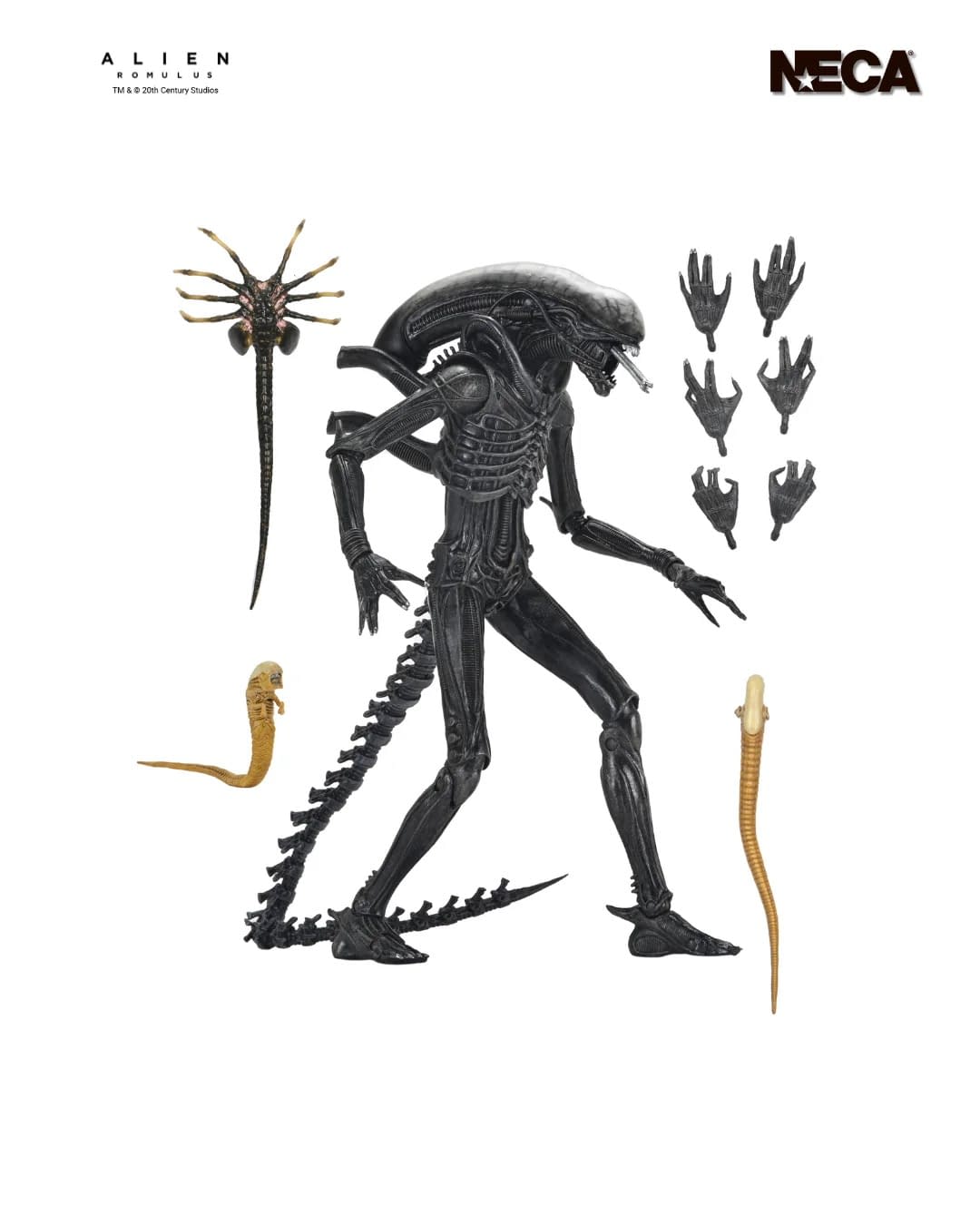 New Concept Alien: Romulus Xenomorph Comes to NECA with XX121