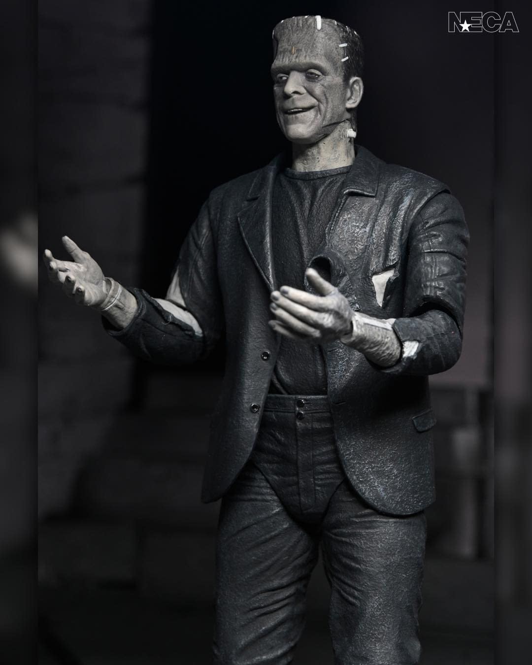 New Universal Monsters The Monster and The Bride 2-Pack Debuts