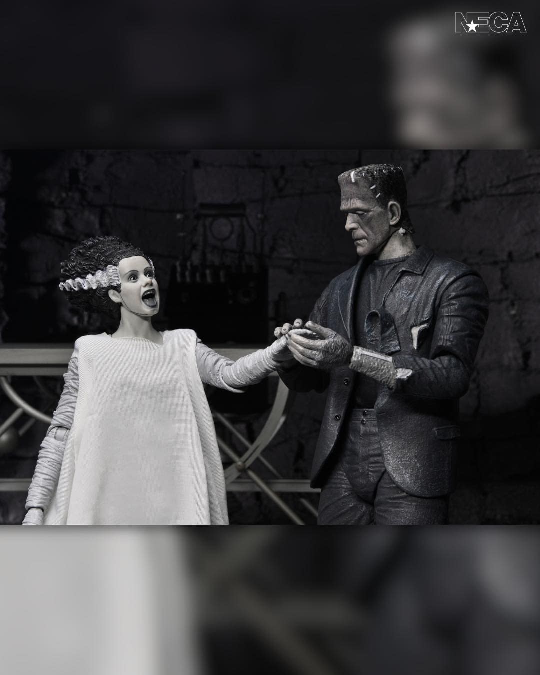 New Universal Monsters The Monster and The Bride 2-Pack Debuts