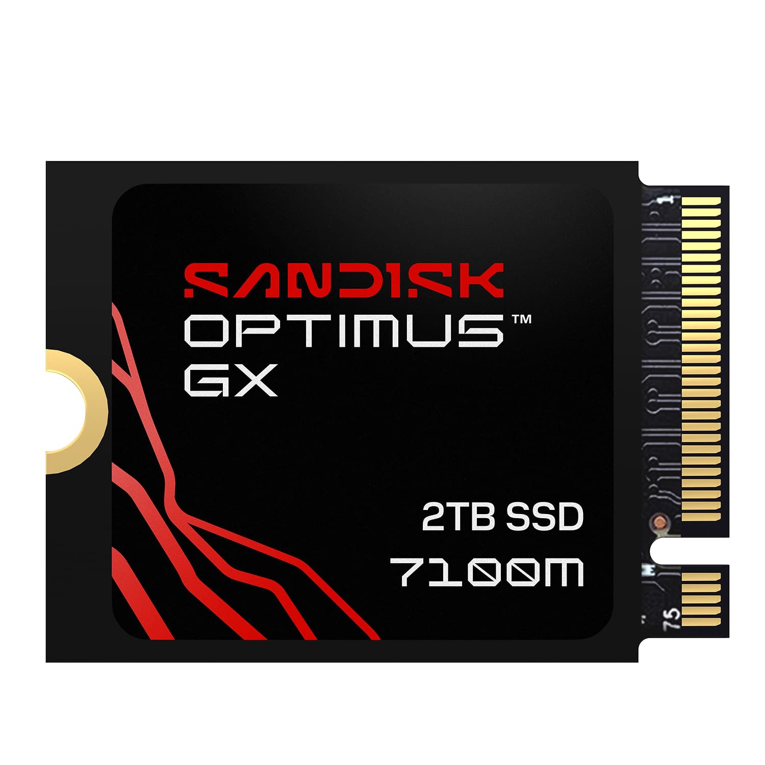 Pop Up Notebook Library Sandisk Offers Four New Holiday 2026 Storage Options