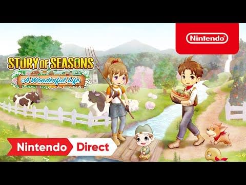 Story of Seasons A Wonderful Life 60FPS IPS Patch   - The  Independent Video Game Community