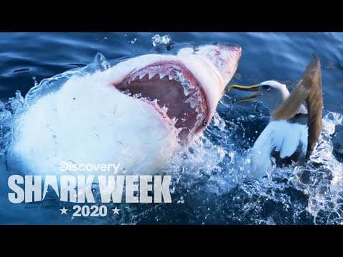 Shark Week 2020 Schedule: Workaholics Trio, Tyson, Snoop Dogg & More