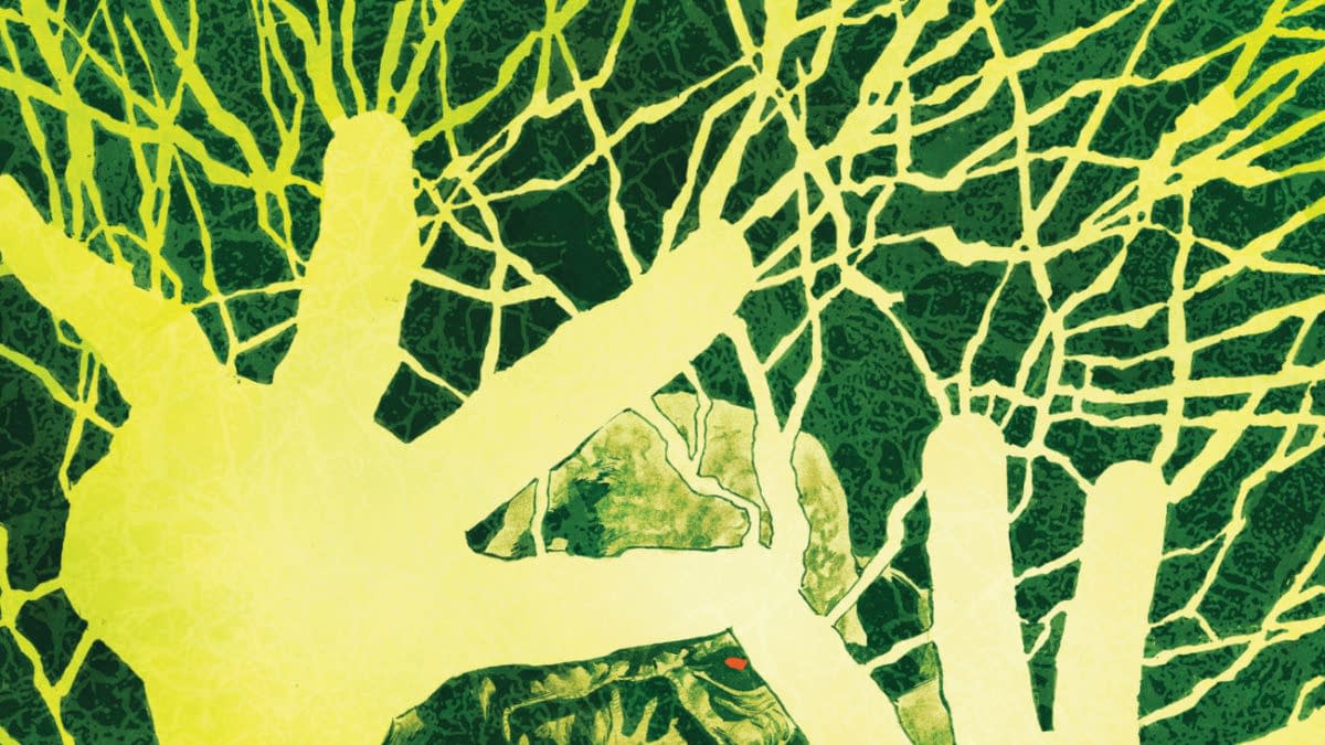 Cover image for Swamp Thing #13
