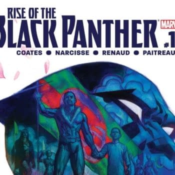 Rise of the Black Panther #1 cover by Brian Stelfreeze