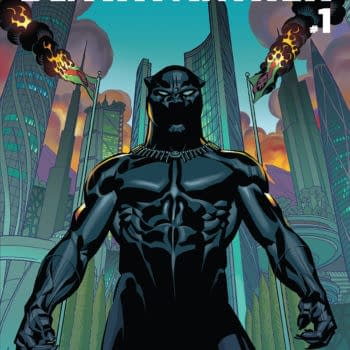 Black Panther #1 Cover by Brian Stelfreeze and Laura Martin