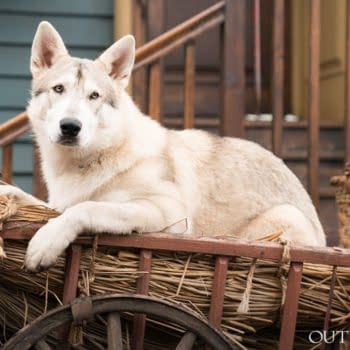 Outlander: STARZ Celebrates Year Of The Dog With Photo of Rollo