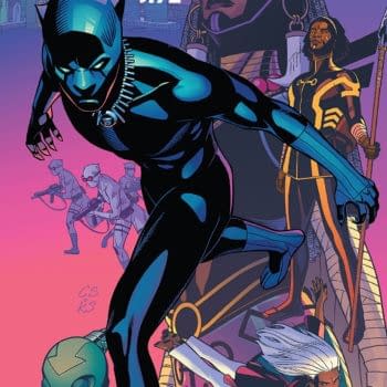 Black Panther #172 cover by Chris Sprouse, Karl Story, and Matt Milla