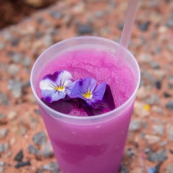 frozen desert violet lemonade epcot 2018