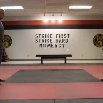Cobra Kai is reportedly leaving for another streaming service, courtesy of YouTube.