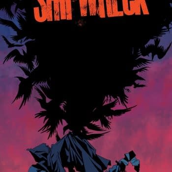 Shipwreck #6 cover by Phil Hester and Mark Englert