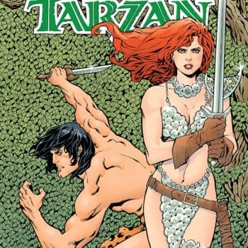 Red Sonja/Tarzan #3 cover by Aaron Lopresti