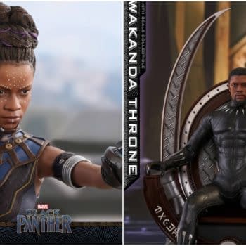 Black Panther Hot Toys Collage