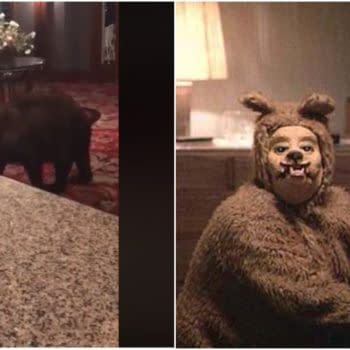 At The Overlook Hotel, All Work and No Honey Makes Bear a Dull Cub