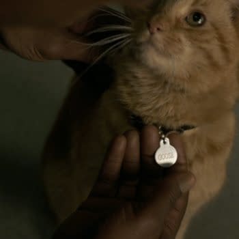 Kelly Sue DeConnick Says Captain Marvel's Cat Goose is Female!