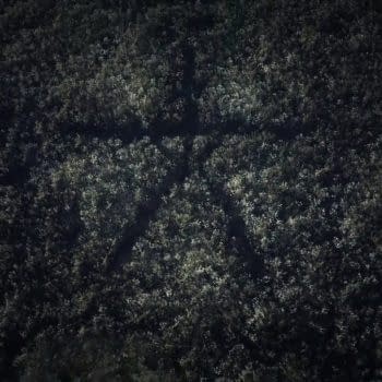 Blair Witch Game Announced at the Xbox E3 Conference
