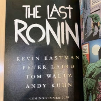 Teenage Mutant Ninja Turtles Creators Kevin Eastman and Peter Laird Team Up Again For The Last Ronin