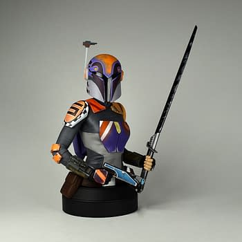 gentle giant sabine wren