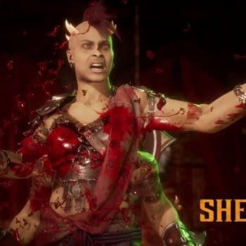 Mortal Kombat 11: Aftermath Introduces You To Sheeva