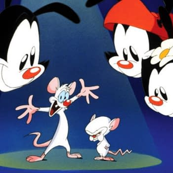 download warner brothers yakko wakko and dot download warner brothers yakko wakko and dot