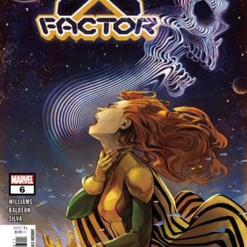 The cover to X-Factor #6