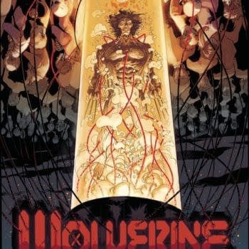 Cover image for WOLVERINE #12