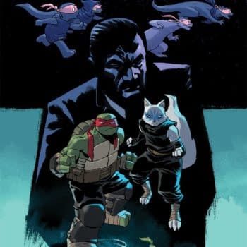 Cover image for TMNT ONGOING #119 CVR A NELSON DANIEL