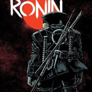 Teenage Mutant Ninja Turtles: The Last Ronin Gets TMNT Hardcover