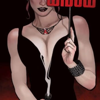Cover image for BLACK WIDOW #11