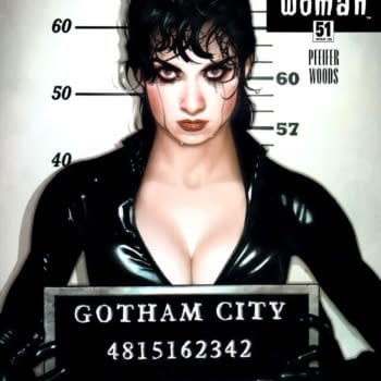 Batman/Catwoman Reprises Adam Hughes Catwoman #51 Mugshot Cover