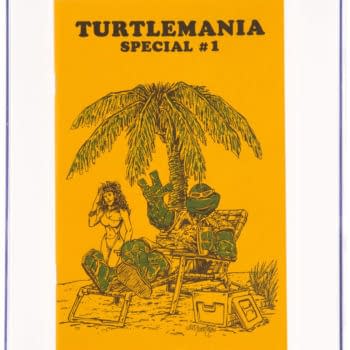 Rarest Teenage Mutant Ninja Turtles Comic Tyrtlemania Gold At Auction