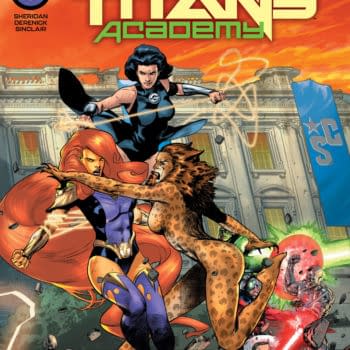 Cover image for Teen Titans Academy #13