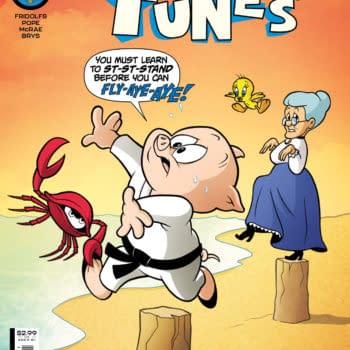 Cover image for Looney Tunes #265