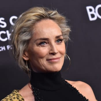 Blue Beetle: Sharon Stone Reportedly in Talks to Be The Villain