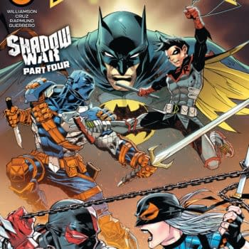 Cover image for Robin #13