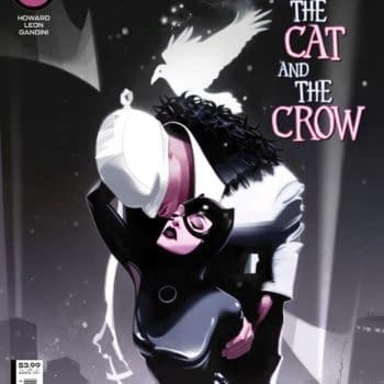Cover image for Catwoman #42