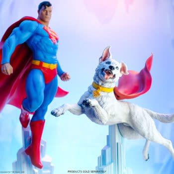 DC Comics Krypto the Superdog Flies on Into Tweeterhead 