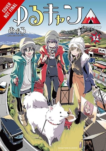 Cover image for LAID BACK CAMP GN VOL 12