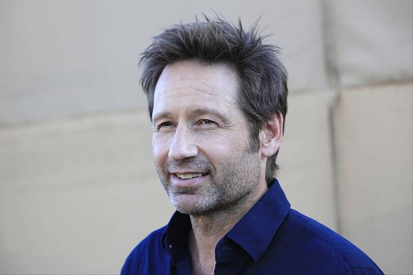 BEVERLY HILLS - JUL 29: David Duchovny at the CBS , CW and Showtime 2013 Summer TCA party on July 29, 2013 in Beverly Hills, California