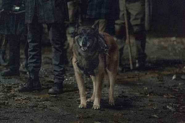 The Walking Dead Season 11 "Acheron: Part II" Preview Images Released