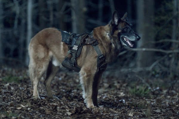 The Walking Dead Season 11 "Rendition" Even Left Me Hating Dog: Review