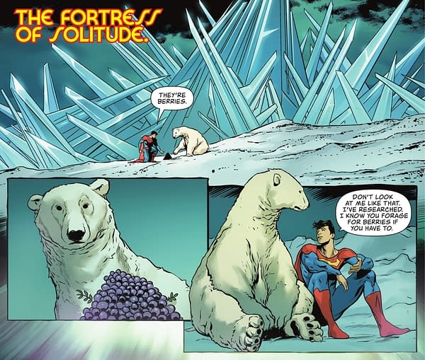 Tom Taylor Names Polar Bear After Gail Simone In Superman Annual