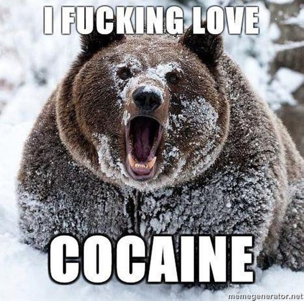 Separated At Birth - Doctor Doom and Cocaine Bear