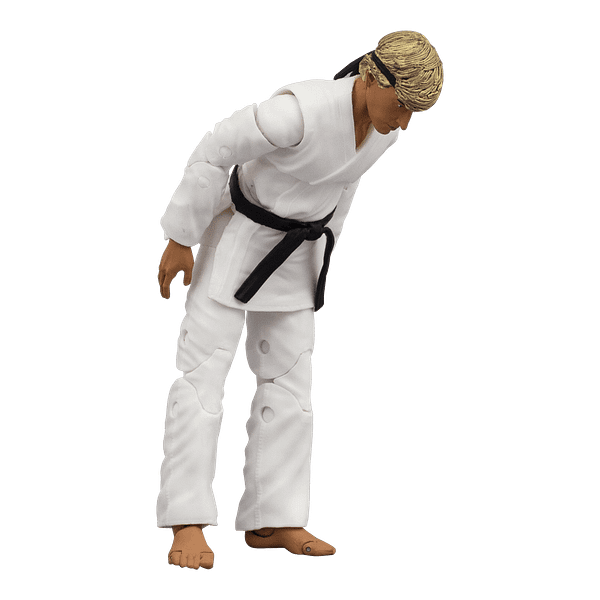 Karate Kid Johnny Lawrence Returns to the Dojo With Icon Heroes
