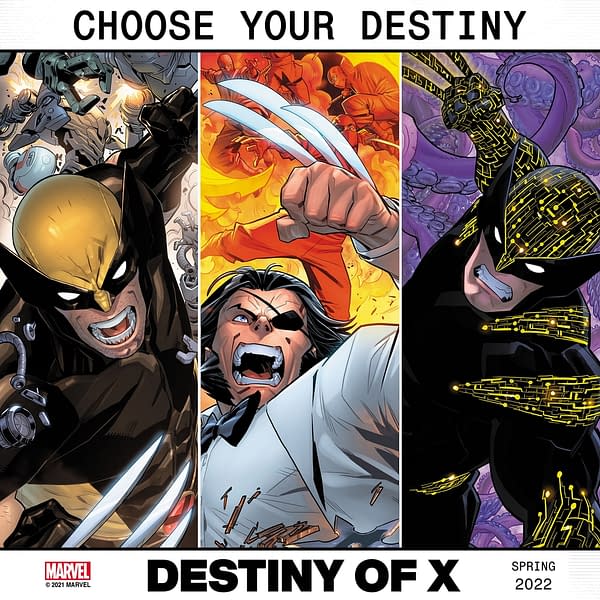 Destiny Of Hope, Storm And Wolverine In Destiny Of X