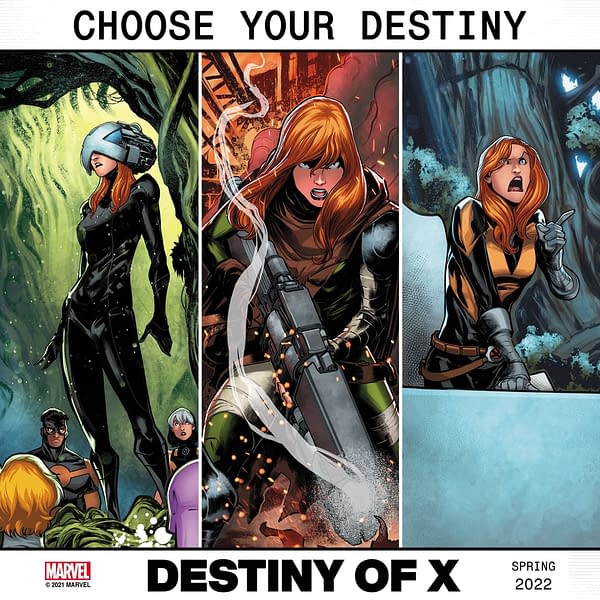 Destiny Of Hope, Storm And Wolverine In Destiny Of X